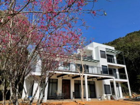 Dear house Homestay